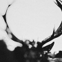IHSAHN IHSAHN