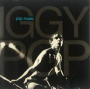 POP IGGY POP IGGY