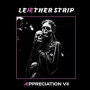LEAETHER STRIP LEAETHER STRIP