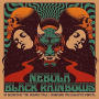 NEBULA & BLACK RAINBOWS