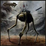 CORPSESSED CORPSESSED