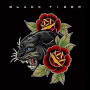BLACK TIGER