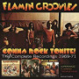 FLAMIN GROOVIES