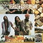 ISRAEL VIBRATION ISRAEL VIBRATION