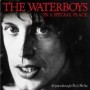WATERBOYS WATERBOYS