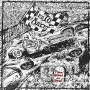 DEATH RACER