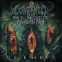 CONSUMED BY VULTURES