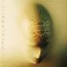 GODSMACK