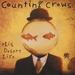 COUNTING CROWS