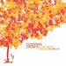 COUNTING CROWS