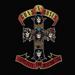 GUNS N ROSES GUNS N ROSES