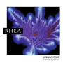 RHEA