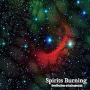 SPIRITS BURNING
