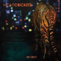 NIGHT CRICKETS NIGHT CRICKETS