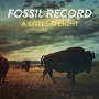 FOSSIL EVOLUTION FOSSIL EVOLUTION