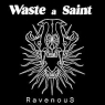 WASTE A SAINT WASTE A SAINT