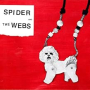 SPIDER AND THE WEBS SPIDER AND THE WEBS