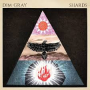 DIM GRAY