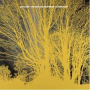 NADA SURF NADA SURF