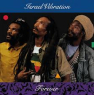 ISRAEL VIBRATION