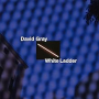 GRAY DAVID GRAY DAVID