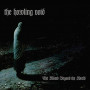 HOWLING VOID
