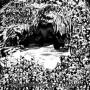 DEATHSWARM