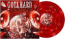 GOTTHARD
