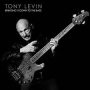 LEVIN TONY LEVIN TONY