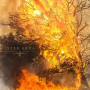 INTER ARMA INTER ARMA