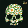 DEAD DAISIES