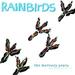 RAINBIRDS