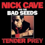 CAVE NICK & THE BAD SEEDS