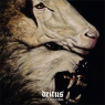 DEITUS