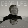 GRAY DAVID GRAY DAVID
