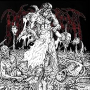 IMPALEMENT IMPALEMENT