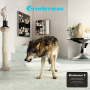 GRINDERMAN GRINDERMAN