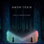 TOBIN AMON TOBIN AMON