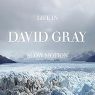 GRAY DAVID GRAY DAVID