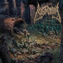 LUST OF DECAY