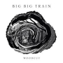 BIG BIG TRAIN