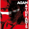 ANT ADAM