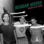 BEGGAR WEEDS