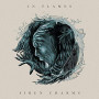 IN FLAMES IN FLAMES