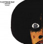 FLEETWOOD MAC FLEETWOOD MAC