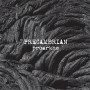 PRECAMBRIAN