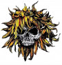 SUNFLOWER DEAD