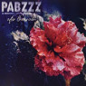 PABZZZ