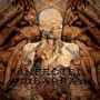 INFECTED DISARRAY
