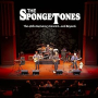SPONGETONES